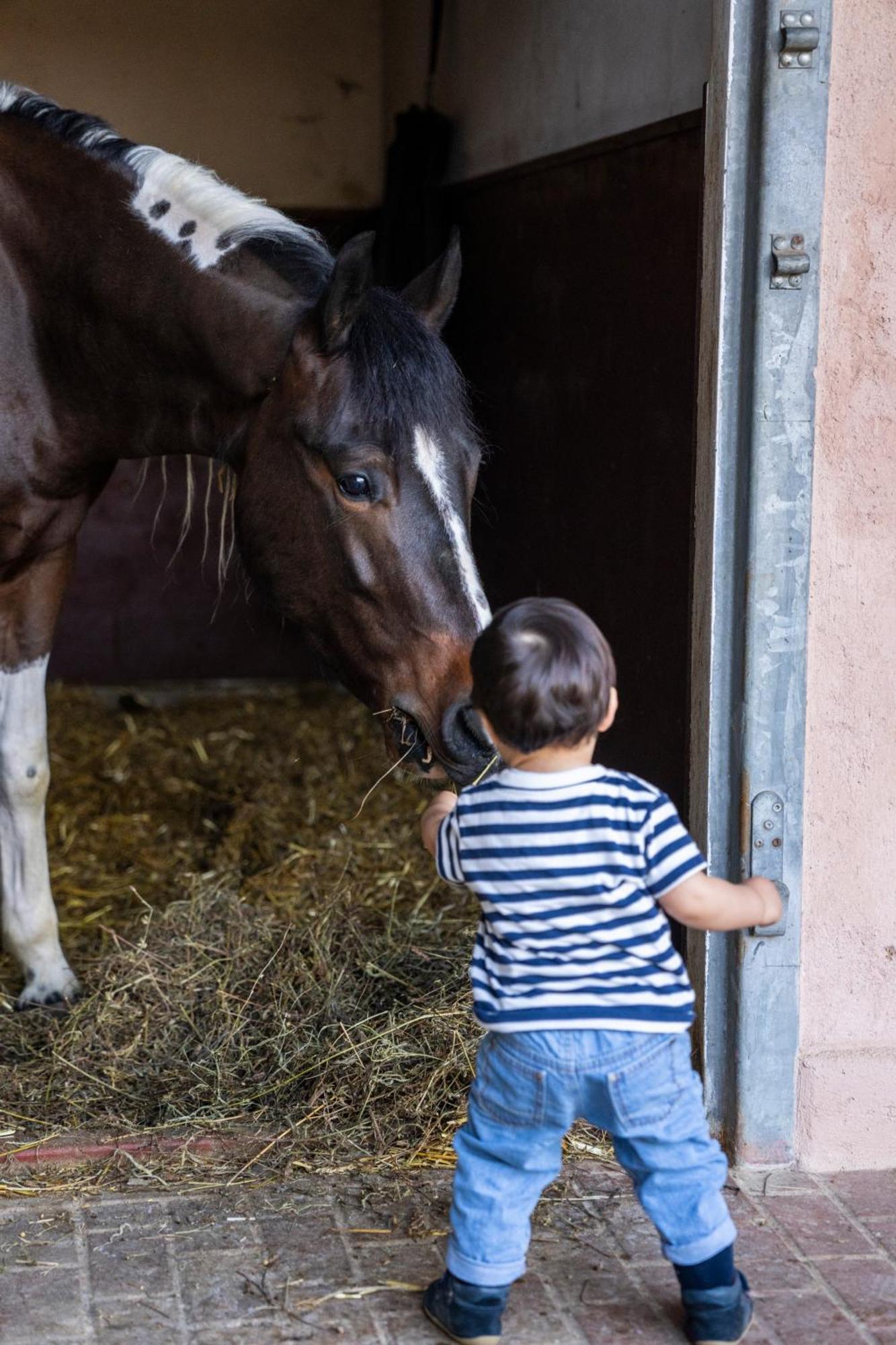 Farm stay Al Segnavento - Fiori&frutti